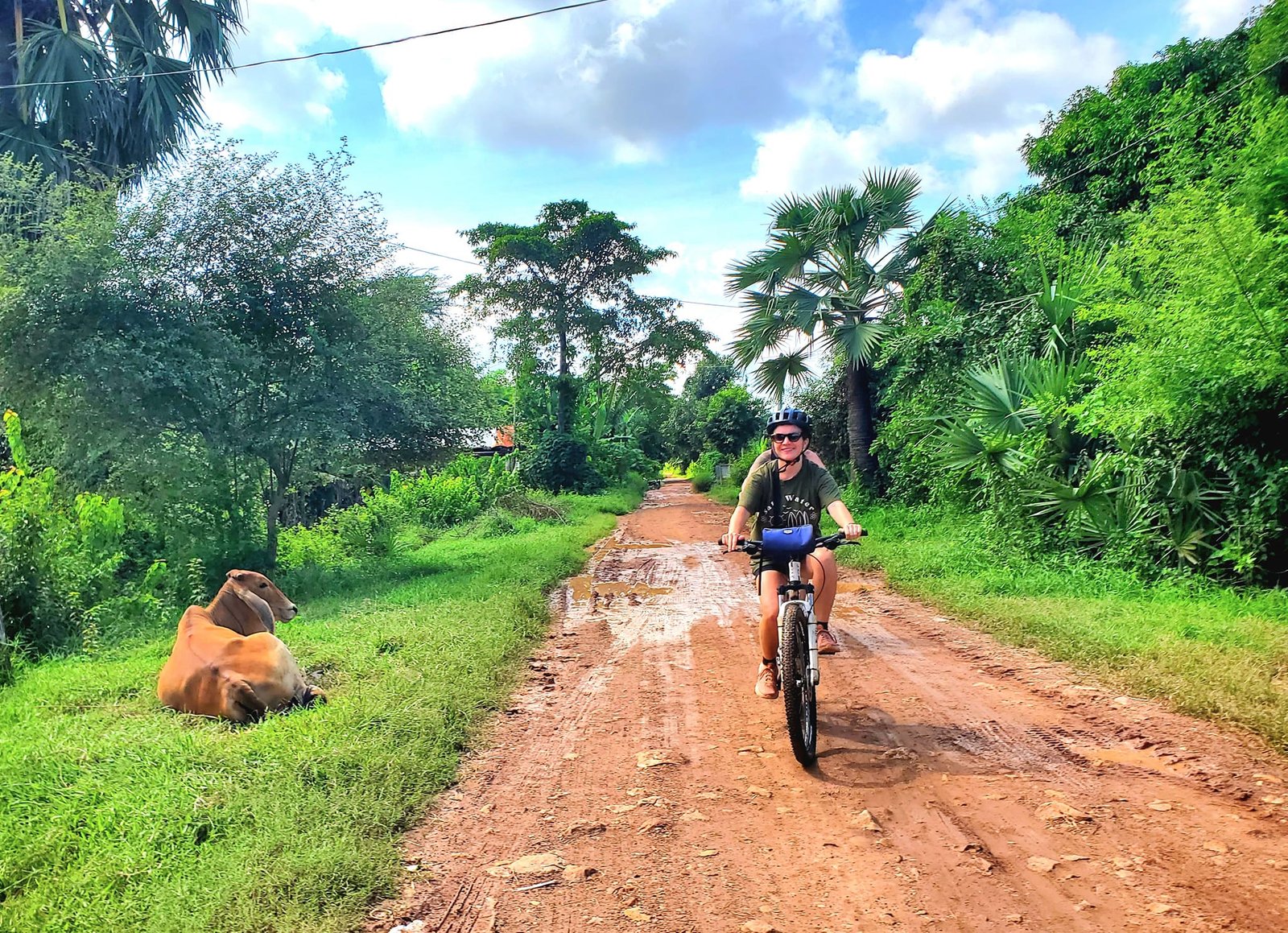 Siem Reap Angkor Wat Bike Tour
